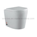 Ceramic Wall Hang Toilet Wc for New Toilet